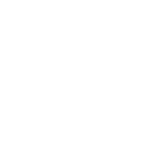 VOIP_Icon_White_1to1